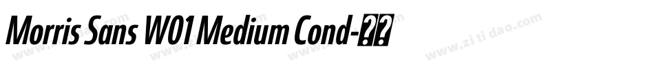 Morris Sans W01 Medium Cond字体转换